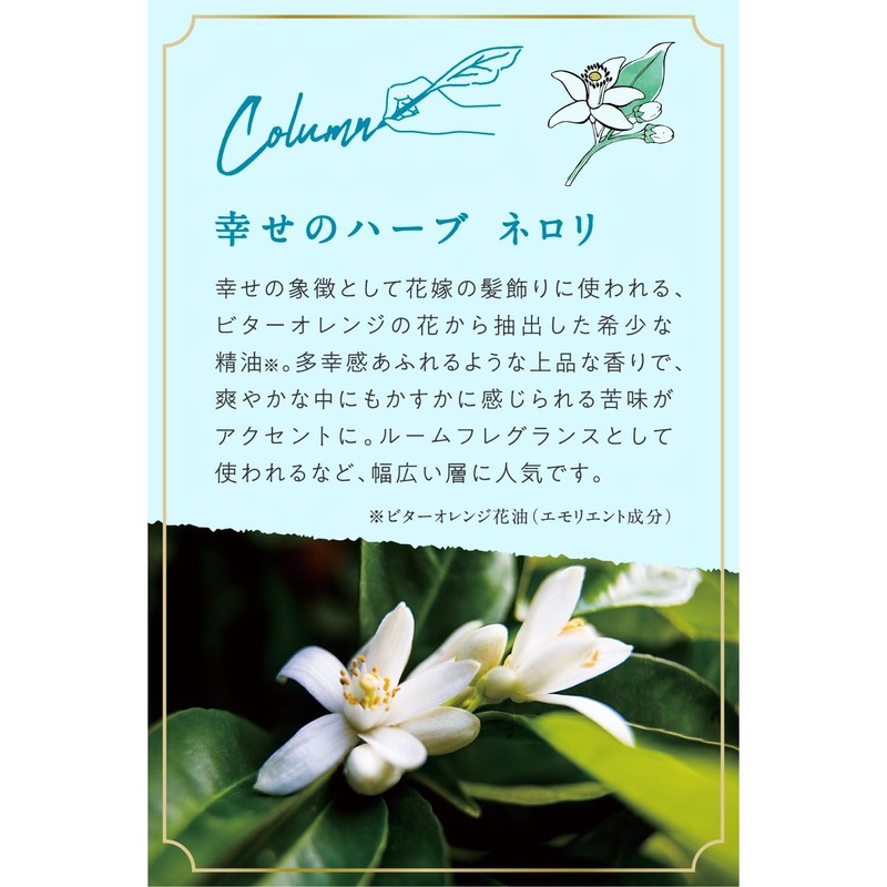 Argital Aroma Essence Water N, 4.2 fl oz (125 ml)