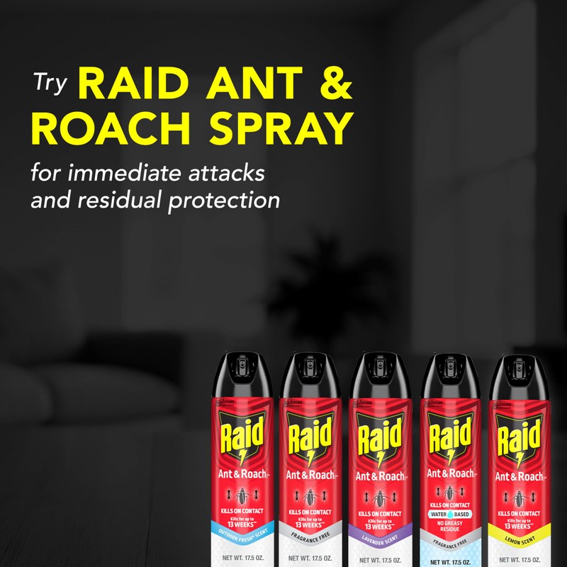 Raid Ant & Roach Killer 26, Fragrance Free Bug Killer