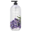 On the Body The Natural Body Wash Relaxing Lavender Scent, 865ml, 1 unit / 온더바디 더내추럴 바디워시 릴랙싱 라벤더향, 865ml, 1개