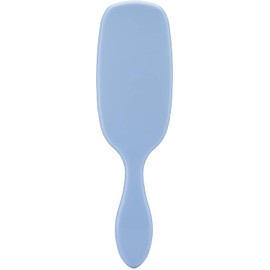 Wet Brush Shine Enhancer Paddle Brush Sky - Cepillo desenredante de cabello con cerdas ultra suaves, impregnado con aceite de argán natural, desenredante brillante y cabello liso, húmedo o seco, para todo tipo de cabello
