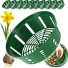 Bulb Baskets Daffodil Tulip Crocus Snowdrop Allium Easy Planter 20cm/23cm/26cm