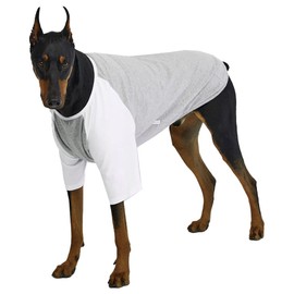 Lucky Petter Dog Shirt for Small and Large Dogs Raglan Cotton T-Shirts Soft Breathable Dog Shirts pet Clothes Gray Series (4X-Large, Gray/White)