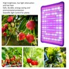 Plant Growing Lamp Scientific Control Low Heat LED Grow Light