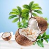 Coconut Chunks 8.81oz Dried Fruit Coconut Crispy Refreshing and Delicious