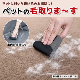 SANKO AA-40 Hair Removal Brush, Pet Hair Removal, Cleaning Dogs and Cats, Carpet, For Hair Loss, Convenient, Size 3.0 x 3.7 inches (7.5 x 9.5 cm) (Thickness 0.7 inches (19 mm)