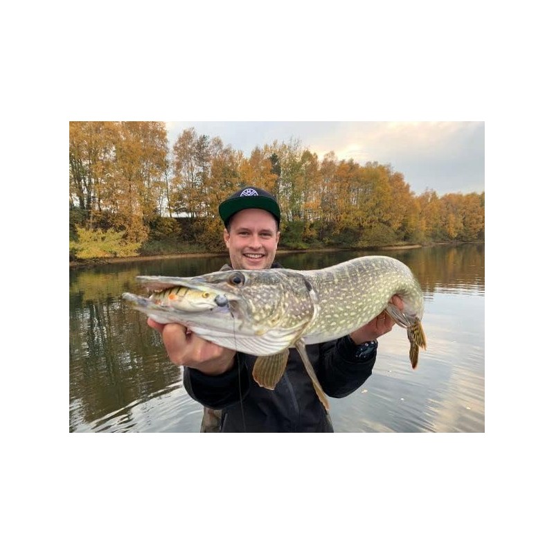 LMAB KØFI Perch Shad 14 cm (Kofi) Colour Chrome Tiger