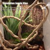 Small Animal Bend-A-Branch Jungle Vine Pet Habitat Decor with Suction