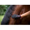 Roeckl Sports equestrian gloves LONA, ladies summer riding glove, black/red