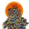 Jolly Ranchers Hard Candy Assortment 6lbs- All 5 Original Flavors
