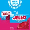 Jell-O Raspberry Sugar Free Gelatin, 0.6 Ounce (Pack of 24)