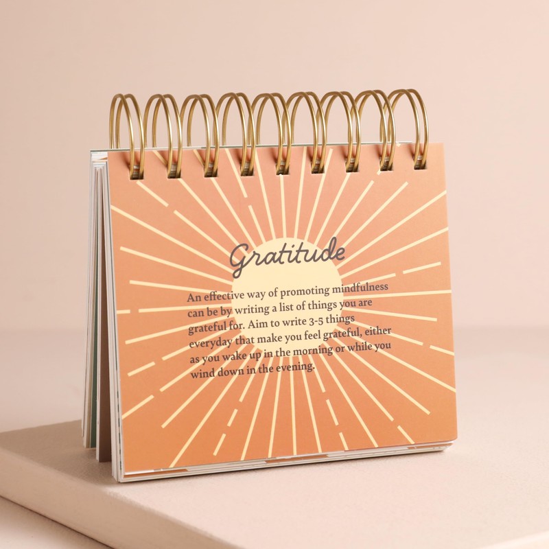 Lisa Angel Daily Mindfulness Flip Chart | 52 Prompts for