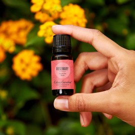 Edens Garden Rosemary "Around The World" Essential Oil, 100% Pure Therapeutic Grade (Undiluted Natural/Homeopathic Aromatherapy Scented Essential Oil Singles) 30 ml