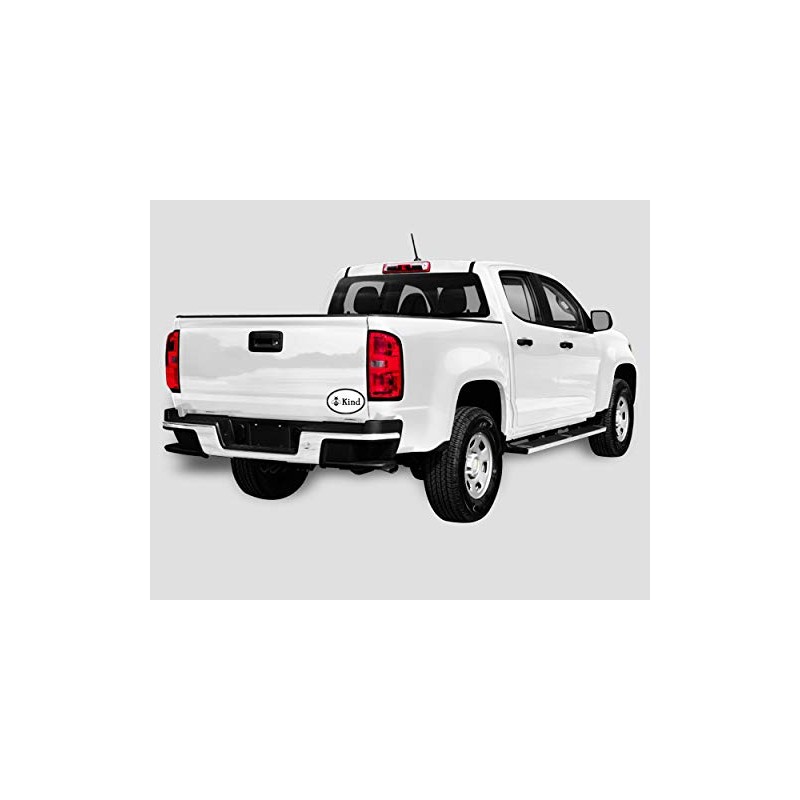 Bee Kind Magnet - 4x6 Oval Automobile Magnet (1 Magnet)