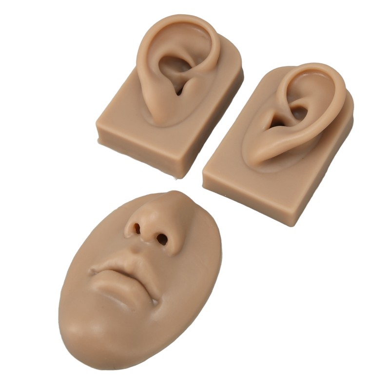 3D Nose and Mouth Model Silicone Ear Model Simulation Display