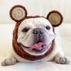 Zoo Snoods Grizzly Bear Costume - Warm Knit Dog Snood