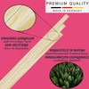 OREXXI Cotton Candy Sticks - 180 | 60 Cotton Candy