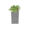 Tramontina 800ml Self Watering Planter Grey