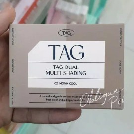 TAG 태그 듀얼 멀티 쉐딩 2호 모노 쿨 9g Tag Dual Multi Shading 2 Monochrome Cool 9g