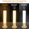 Light Therapy Lamp 10,000 Lux Happy Sunlight Lamps UV-Free with