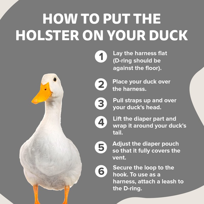 Hen Holster Wrap-Around Duck Diaper with Removable Liner and Adjustable