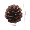 VICASKY 100pcs Christmas Natural Pine Cones - Thanksgiving Mini Pinecones