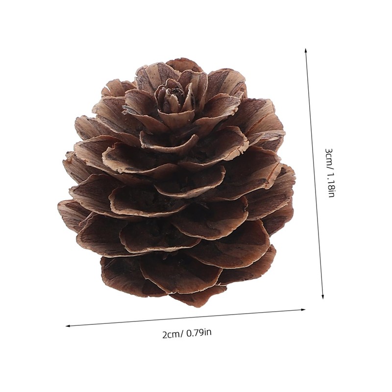 VICASKY 100pcs Christmas Natural Pine Cones - Thanksgiving Mini Pinecones