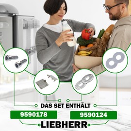 Set of 2 Hinges for Fridge Door Handle with Original Code 9590178 9590124 for Liebherr - The Set Includes 2 Hinges 2 Screws 2 Washers 2 Plugs ONIX TECH