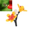 DIY Hummingbird Feeder Bottle Recycling Safe Harmless Bird Feeding Flower
