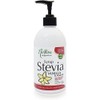 Nirvana Organics Vanilla Flavour Stevia Syrup 500 ml