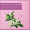 Wissotzky Green Tea with Jasmine, 20 Tea Bags | Antioxidant