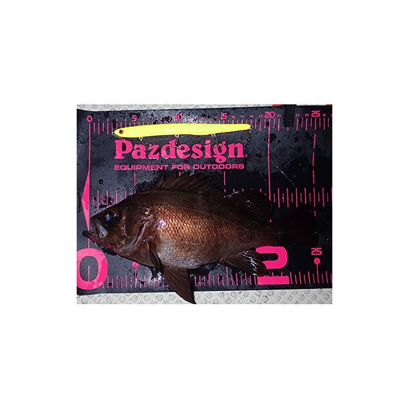 Pazdesign Protect Major 40 Type 2 (PROTECT MAJOR 40 II)