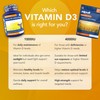 Zipvit Vitamin D3 4000 IU, 360 Maximum Strength Vitamin D