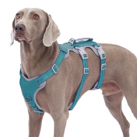 Huntboo Escape Proof Dog Harness, No Pull Reflective Harness with Lift Handle, Adjustable Pet Vest with Front and Back Leash Clips for Small Medium Large Dogs Walking Hiking Training (Teal,L)