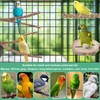 NLONLL 6 Pcs Bird Perches for Cage Parrot Perch Budgie