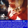 Nabür Ethiopia Incense, Boswellia Papyrifera - 200g Gold AAA+, Purification,