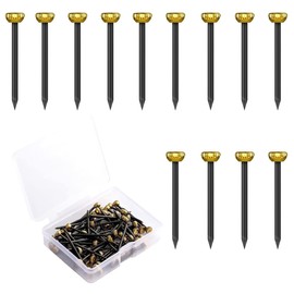60pcs Picture Hanging Nails with Brass Heads – Masonry Pins for Wall Art, Includes Storage Box for Easy Organization