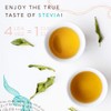Stevia Orgánica en Hoja, 40 g, Mayan Sweet