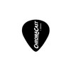 ChromaCast Guitar Picks (4334252909)
