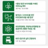Body fat diet catechin 300mg 2 month supply / 체지방