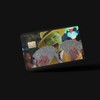 Funny Debit Card Sticker, Credit Card Covers Skin, Debit Card