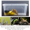 Hamiledyi 2PCS Reptile Feeding Box Snake Breeding Box Transparent Animal