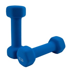 Saorzon Dumbbells Set of 2 Exercise Fitness Dumbbell for Home Gym Free Weights Hand Hex Dumb Bells Royal Blue 1LB
