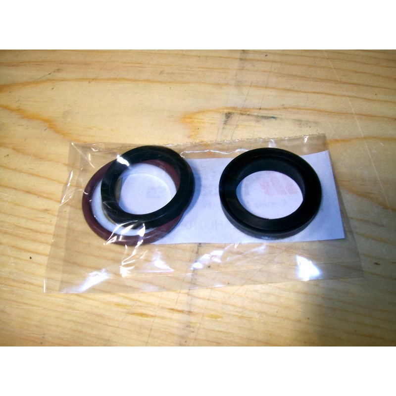 Parker Compatible Seal kit RK2AHL0255 Viton Compatible replacement kit (PICTURE
