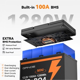 12V 100Ah Mini LiFePO4 Lithium Battery，10-Year Lifespan with Up to 15000 Cycles, Upgraded 100A BMS Group 24 Lithium Battery in Small Size,1280Wh Energy LiFePO4 Battery for RV,Trolling Motor