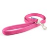Ancol Heritage Nylon Lead Blue 1m X19mm Sz 3-8