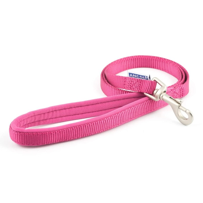 Ancol Heritage Nylon Lead Blue 1m X19mm Sz 3-8