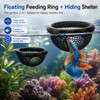 2 PCS Floating Betta Hammock, Shrimp Feeder, Small Fish Feeding
