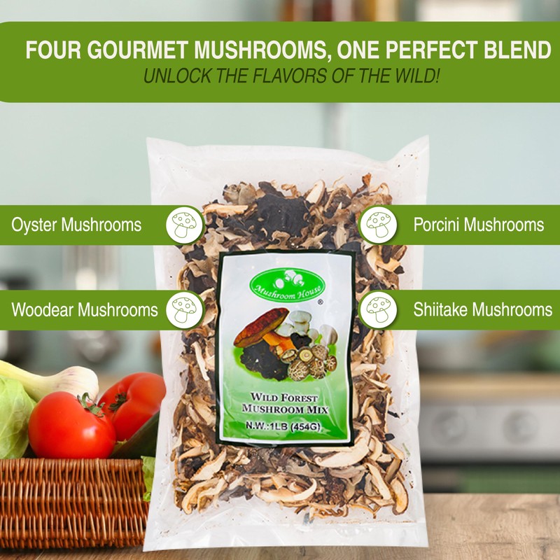 Mushroom House Dried Wild Forest Blend, 16 oz - Gourmet