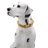 BAOBOTE Gold Dog Chain Collar Walking Metal Chain Collar with