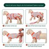 Kuoser Recovery Suit for Dogs Cats After Surgery, Professional Pet